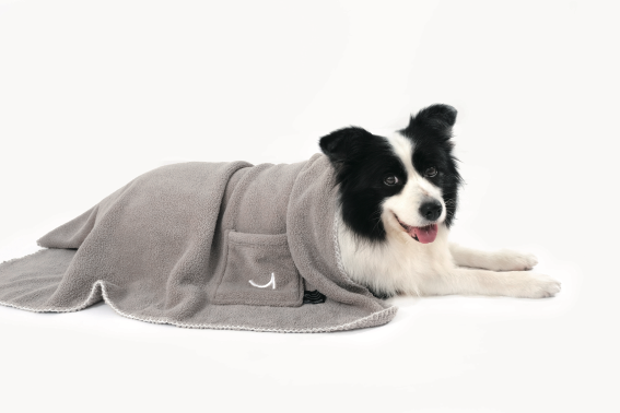 Black-and-white dog resting under a grey Gran Isle pet blanket