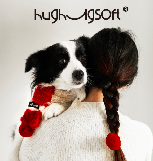 Little Artist Pet Scarf in Holiday Anchor Red