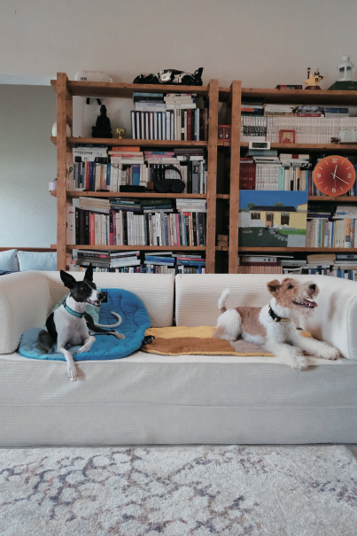 Dogs relaxing on blue and yellow Little Island travel mats